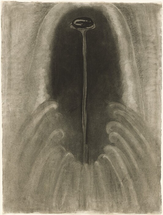 The image displays an abstract composition with a dark, oval shape at the top center connected to a long, narrow line extending vertically downwards. Surrounding this central figure, the shading creates a sense of depth as it gradually lightens outwardly, forming a subtle, arch-like curvature. The overall effect is reminiscent of a fountain, with the lines on either side appearing like cascading water or may evoke the ribs of a seashell, heightening the abstract nature of the scene.