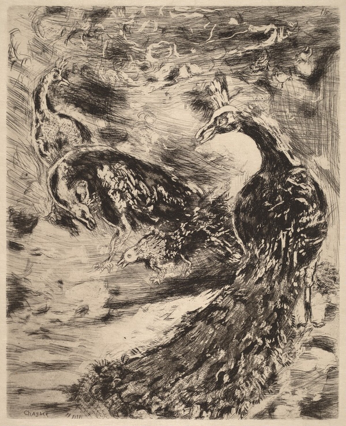 The Jay Dressed in Peacock's Plumes