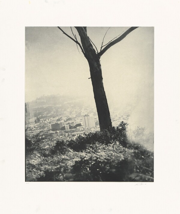 24th at Carolina (Left Variation)