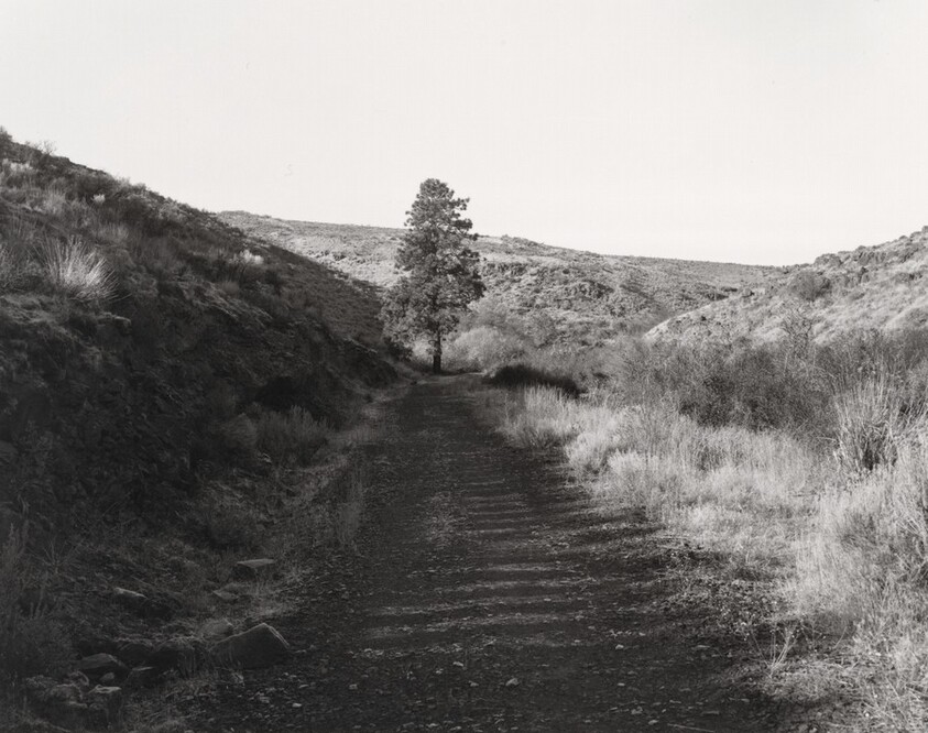 North Yakima and Valley