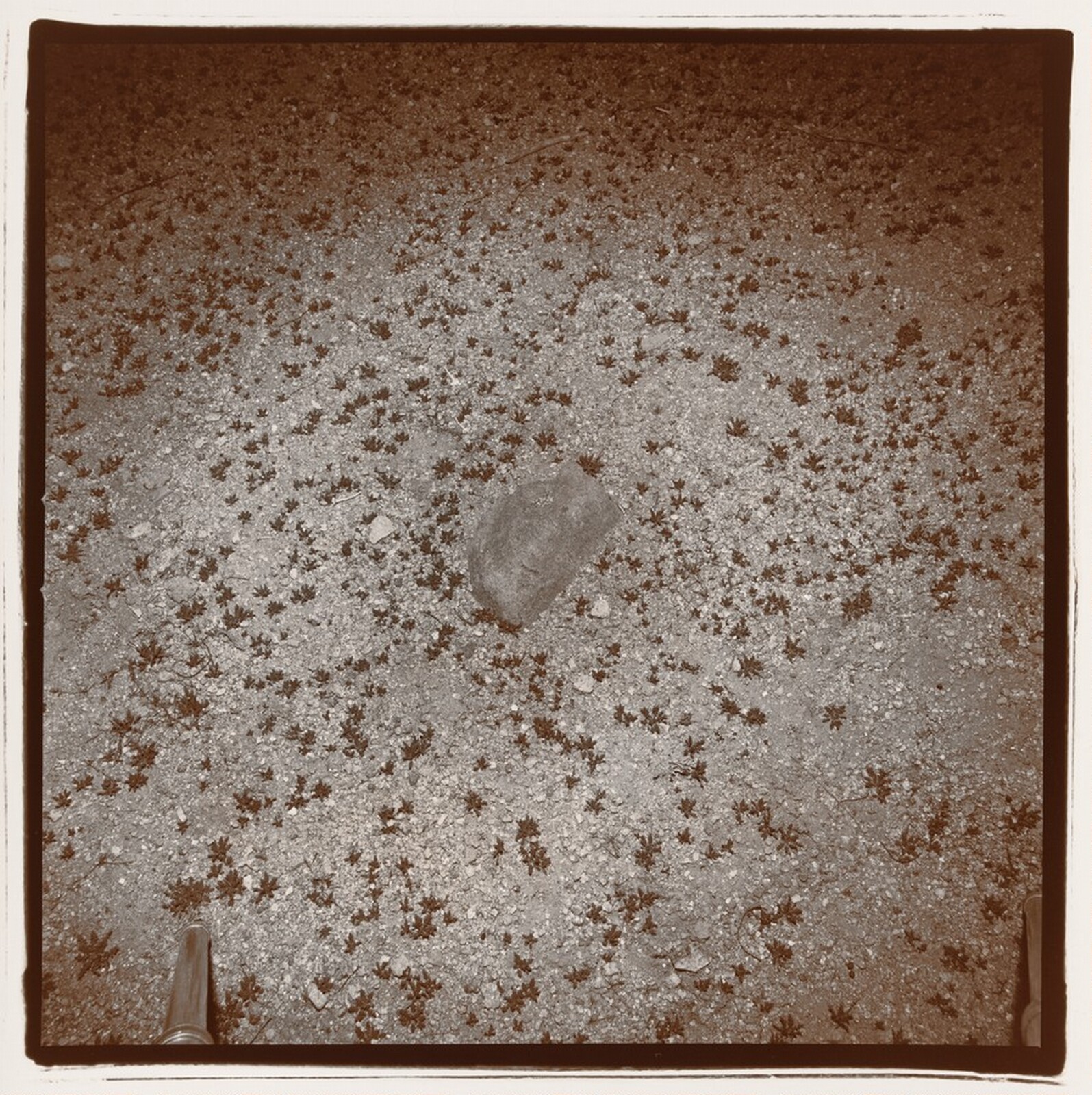 Untitled, Richard Misrach, 1977