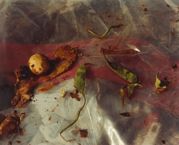 Pictures from a Rubbish Tip