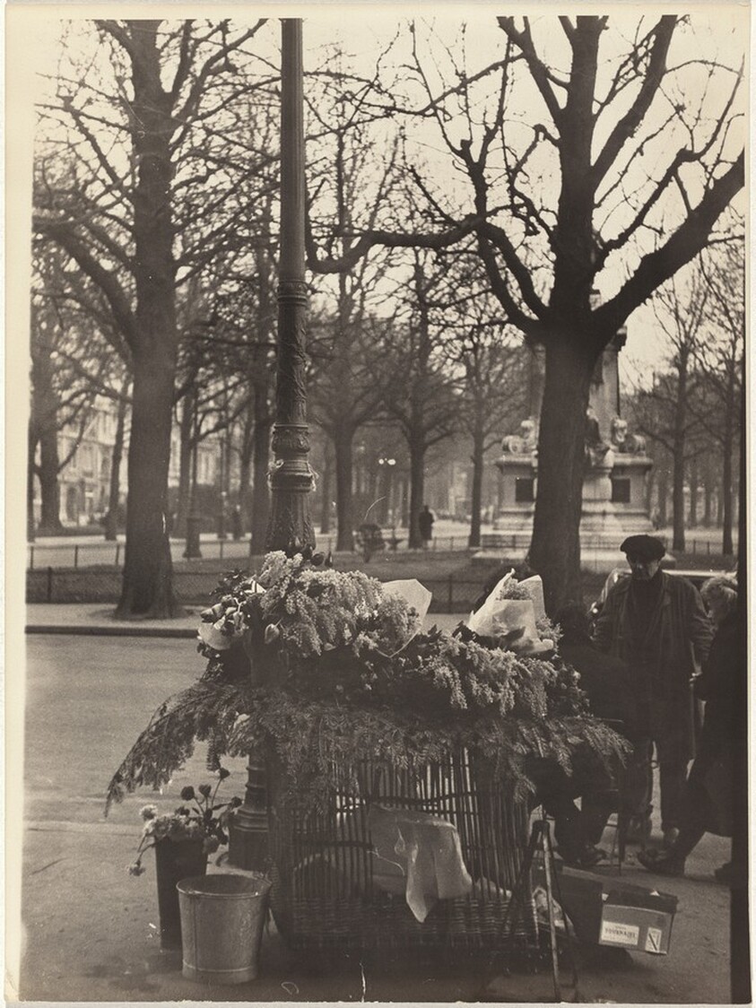 Flower cart, Paris