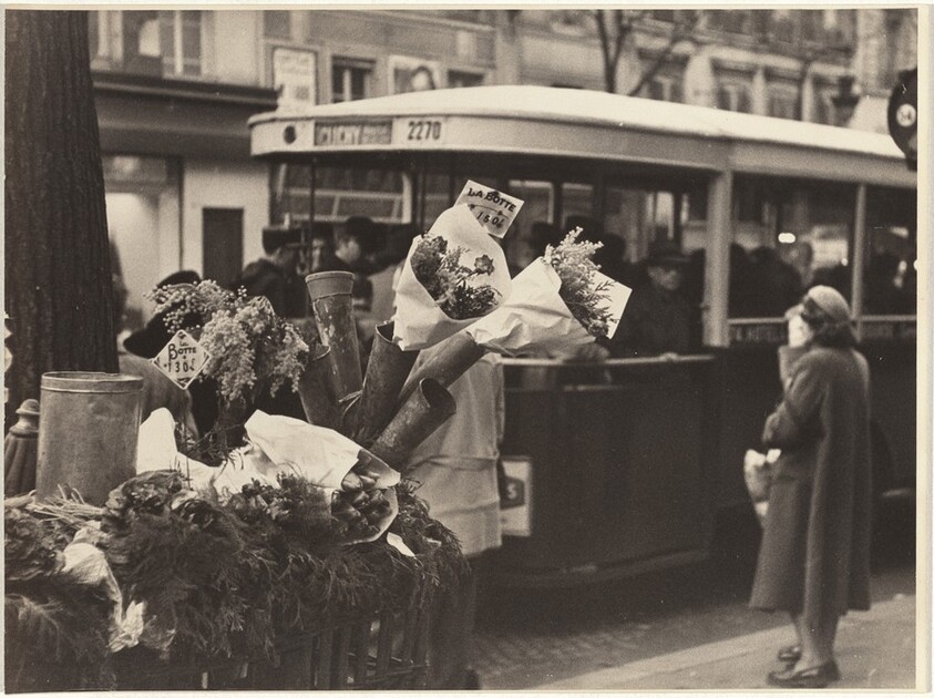 Flower cart on street, Paris