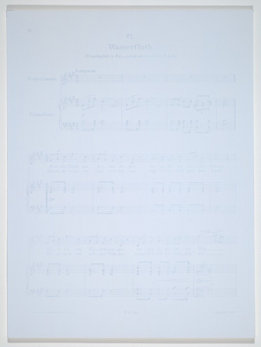 Winterreise-Wasserfluth