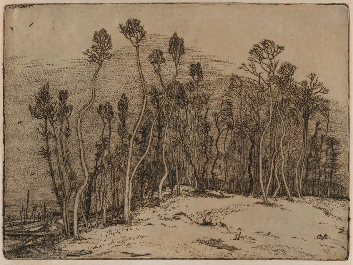 Winter Landscape (Il bosco d'inverno)