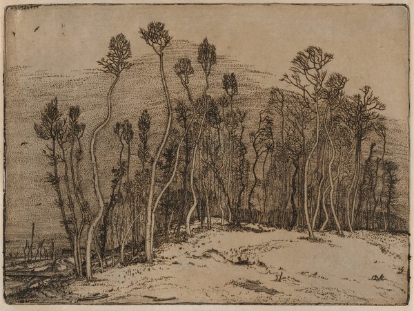 Winter Landscape (Il bosco d'inverno)