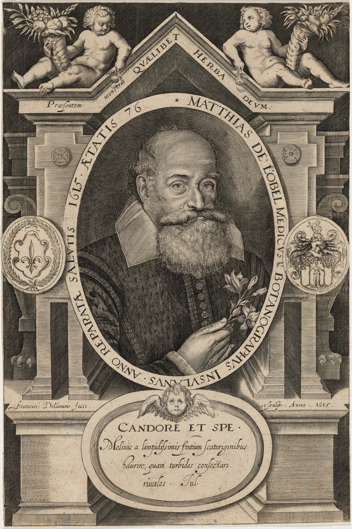 Matthias de L'Obel