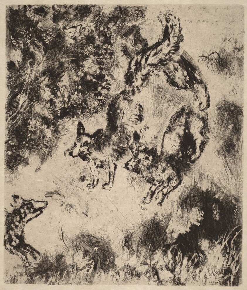 The Fox with His Tail Cut Off