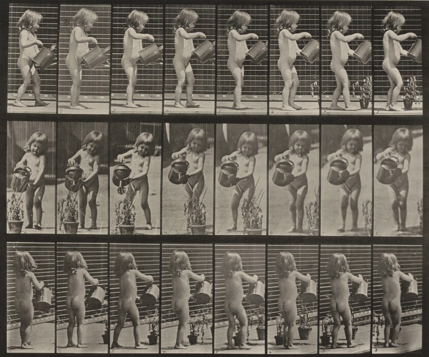 Plate Number 478. Child sprinkling water over some flowers