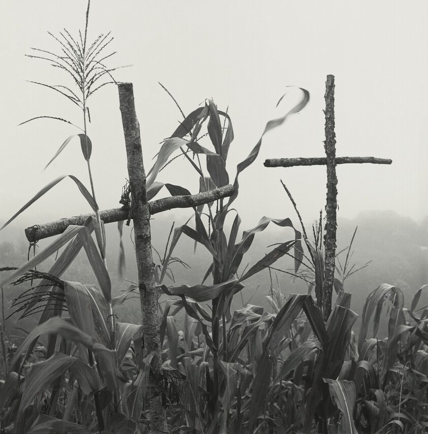 Cuetzalan, Puebla (Corn Stalks and Crosses)