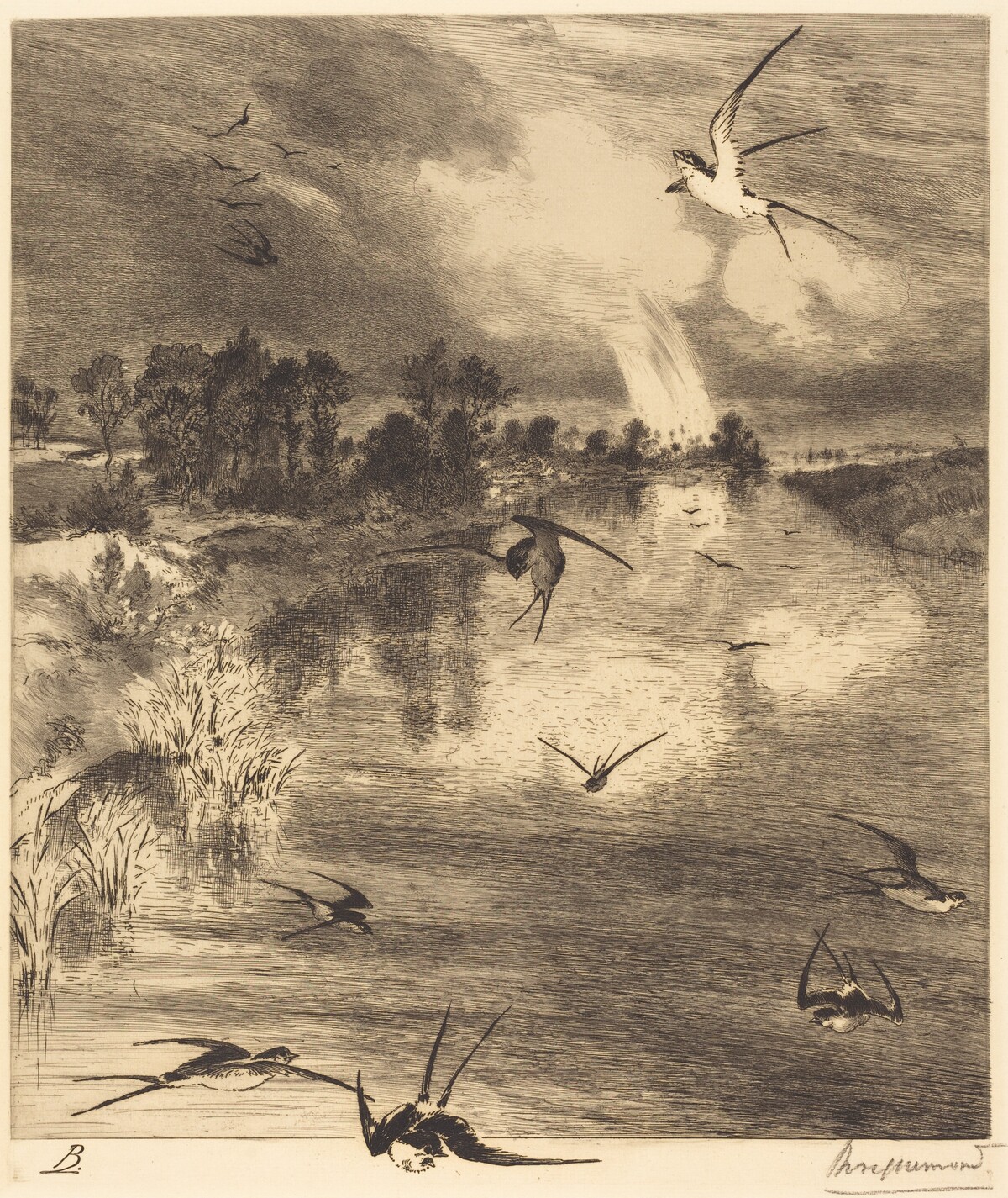 Les Hirondelles (The Swallows)