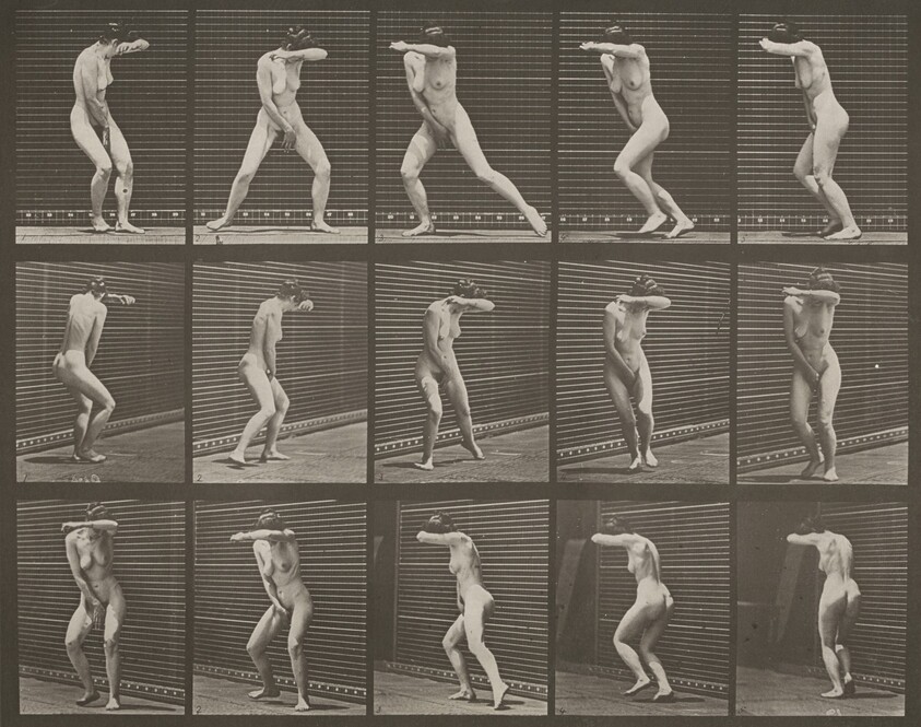 Plate Number 73. Turning around in surprise and running away