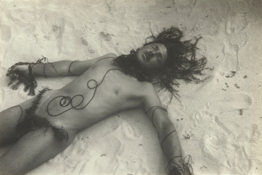 Jared French, Fire Island