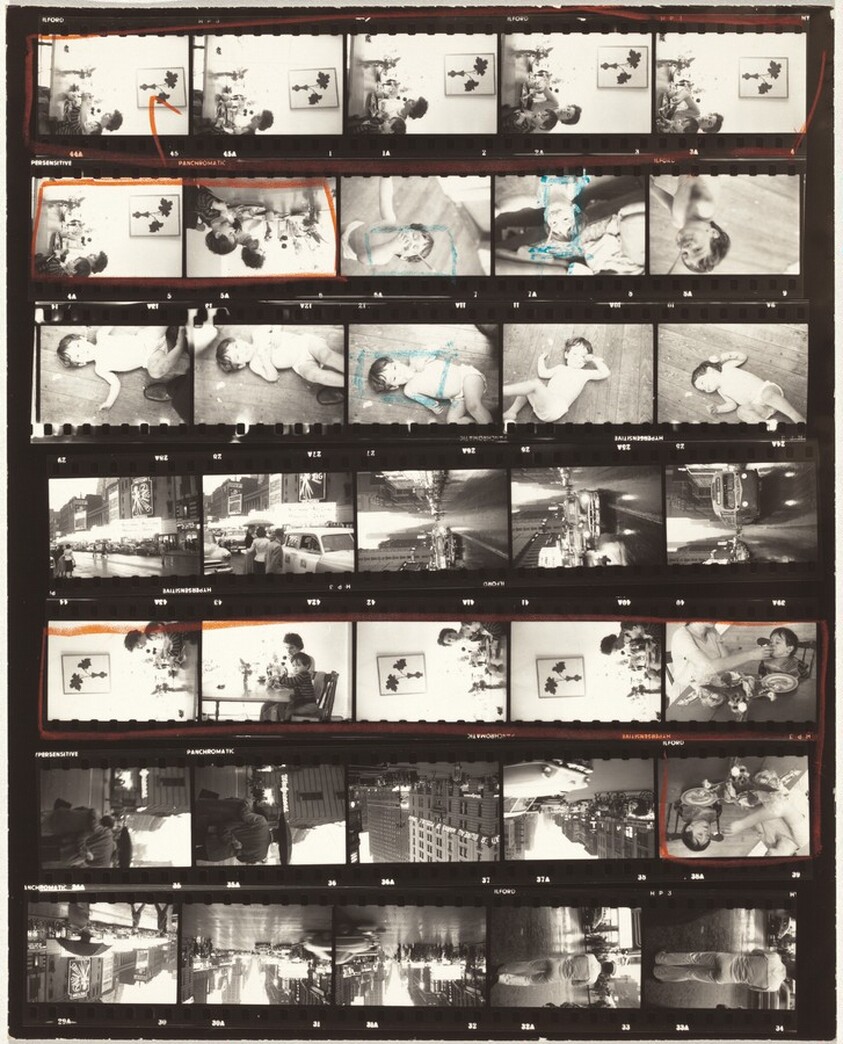 Family--New York City no number