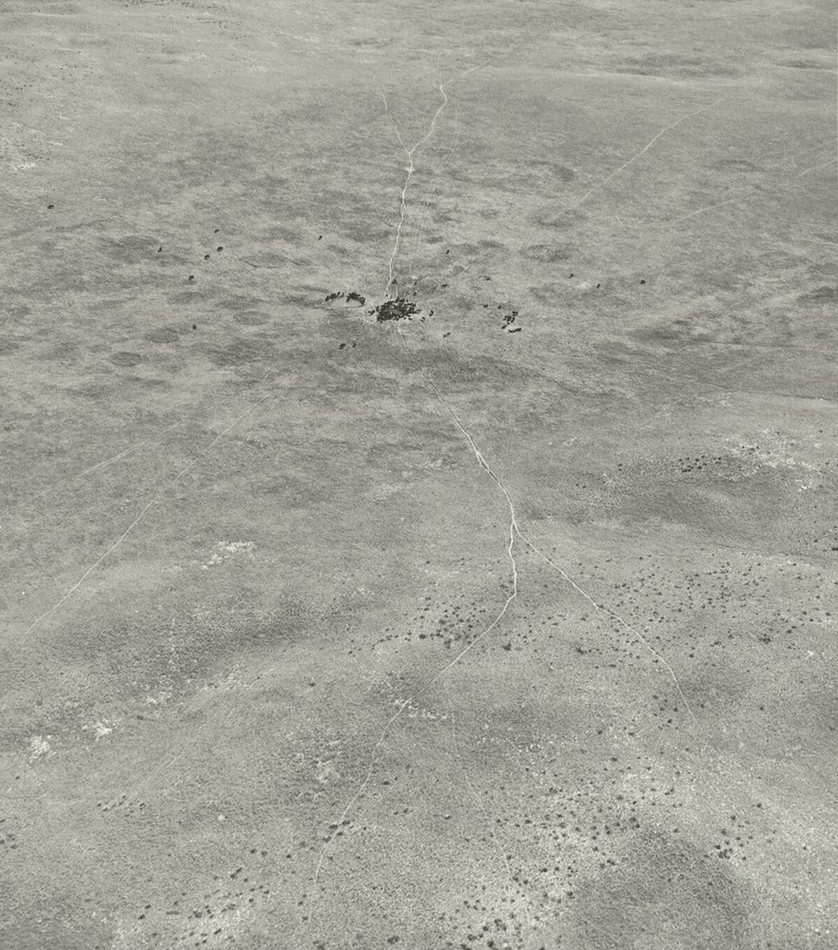 Cattle Water, Sand Hills, Merrill County, Nebraska