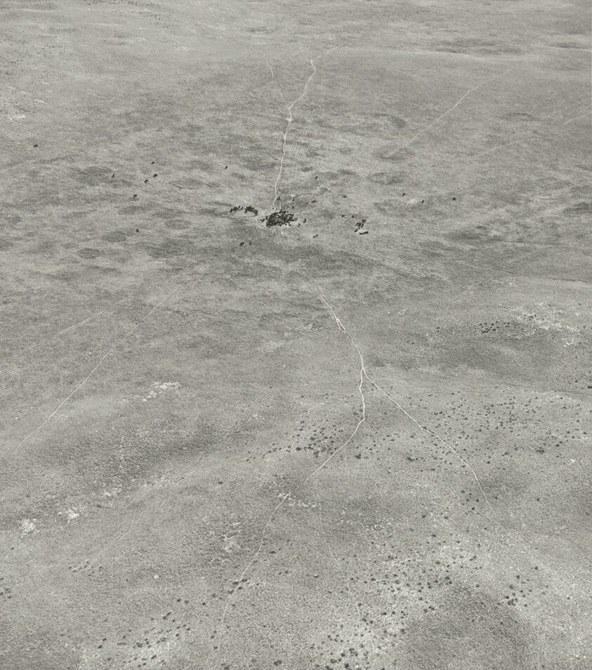 Cattle Water, Sand Hills, Merrill County, Nebraska