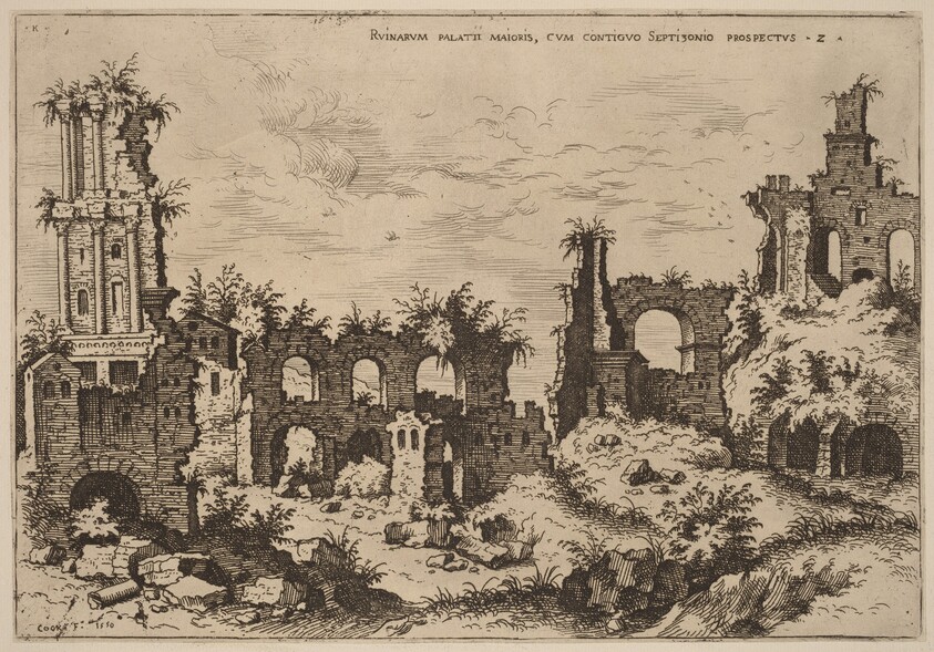 Ruins on the Palatine with the Septizonium