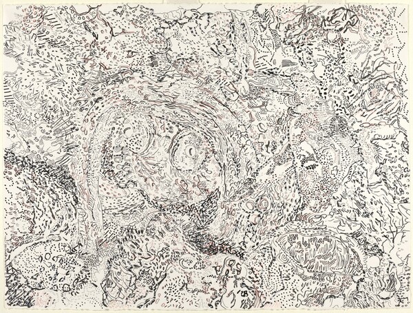 Study for Camouflage Series No. 3