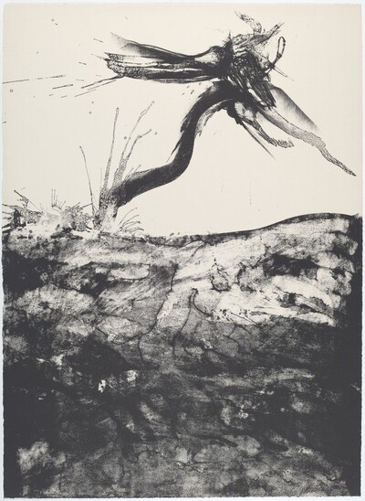 Flight IV