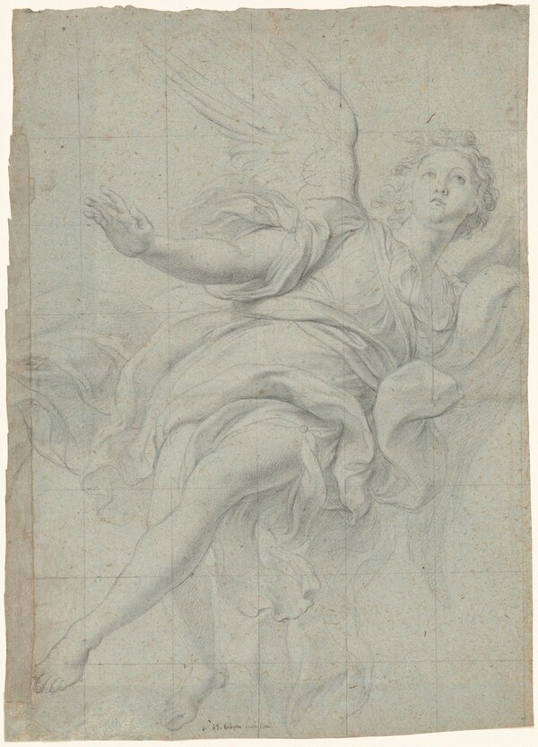 Study of an Angel in Flight