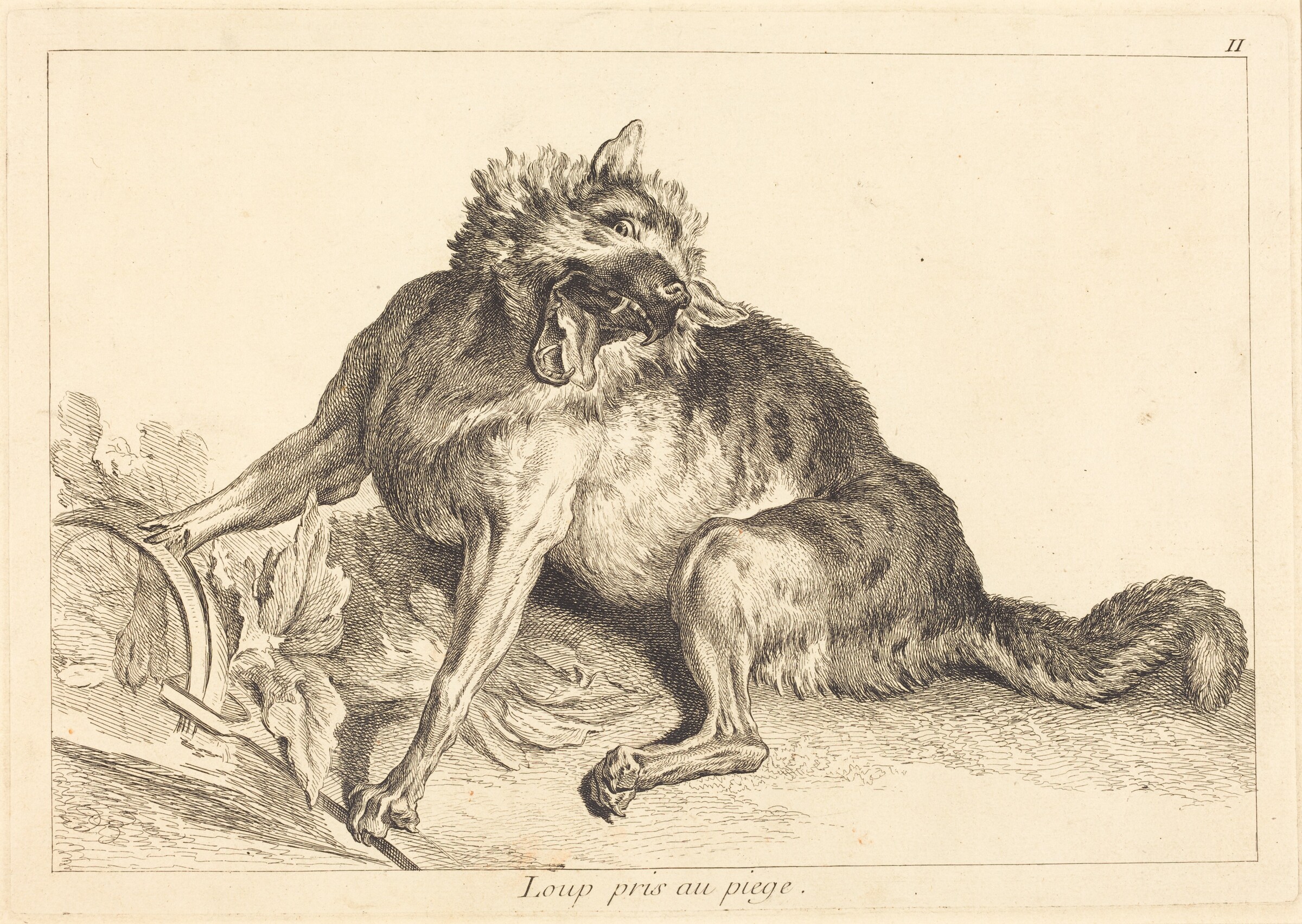 Loup pris au piege (Wolf Caught in a Trap), Jacques-Philippe Le Bas and Jean Eric Rehn after Jean-Baptiste Oudry