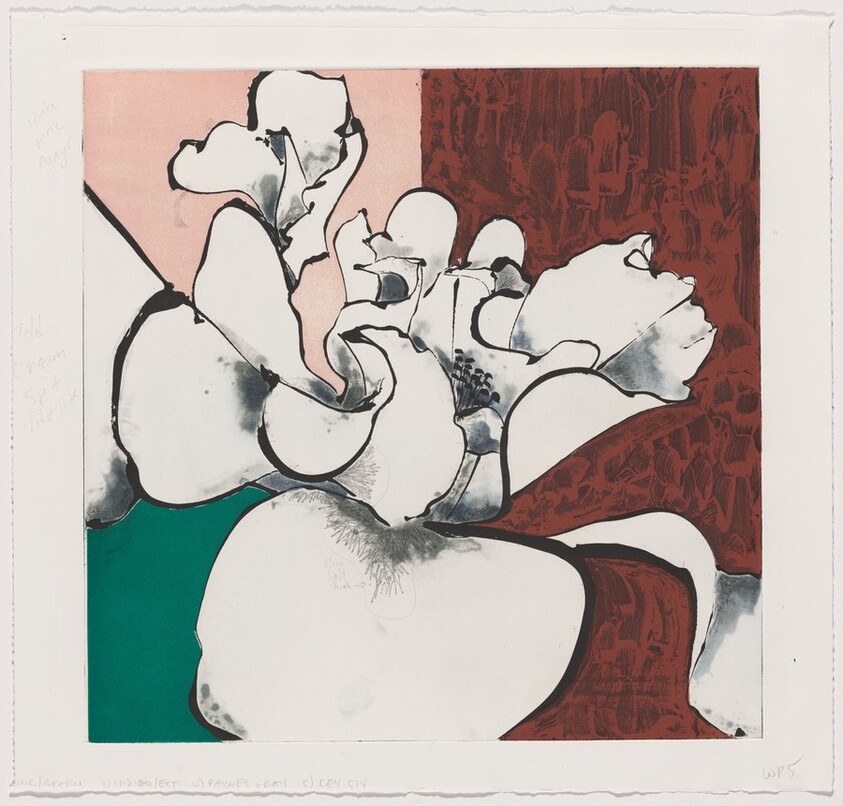 Camellia White [working proof 5]