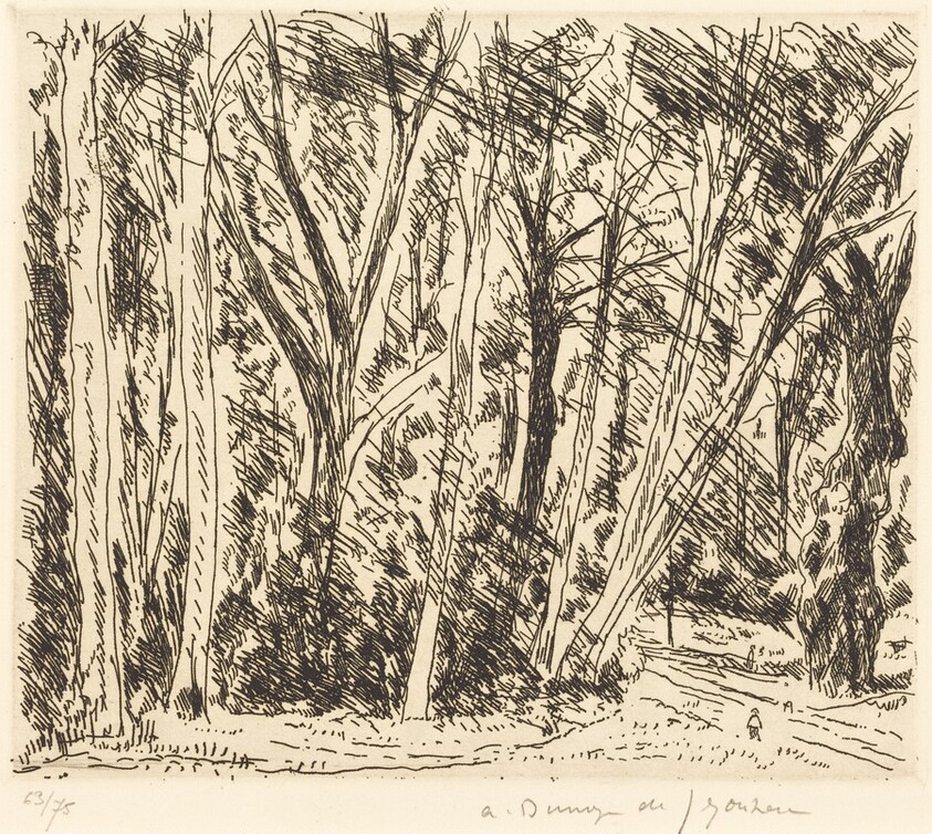 Le Chene de Doisu a Chaville