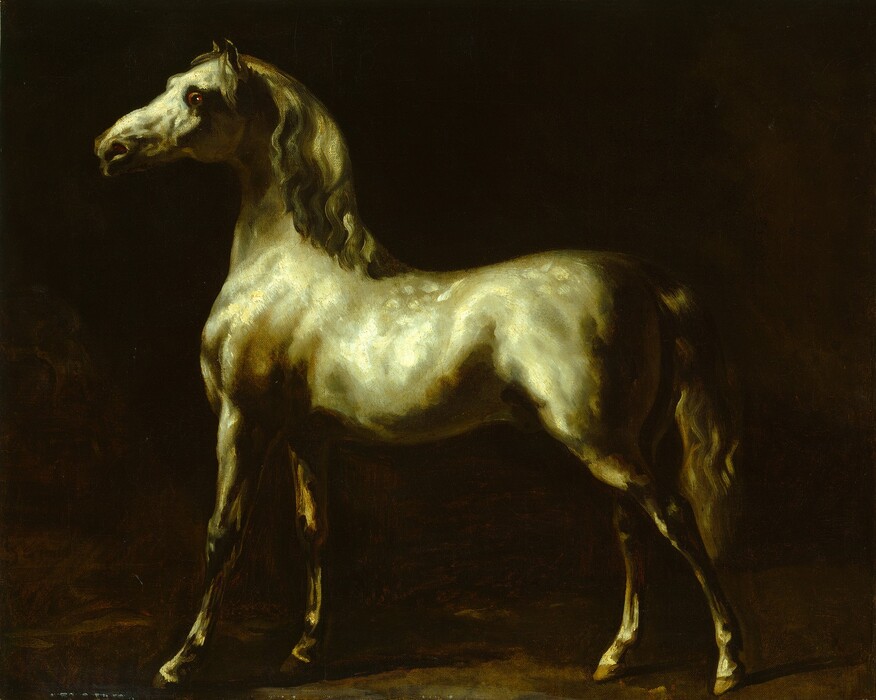 A pearlescent, gold-shaded, white dappled horse stands in front of a dark background in this horizontal painting. The horse faces our left in profile and lifts its head. Its four feet are evenly spaced, and the back of his hindquarters and his tail are largely swallowed in shadow. Light glistens off the horse’s muscles along its body and neck. Traces of a signature in light paint are illegible in the lower left corner.