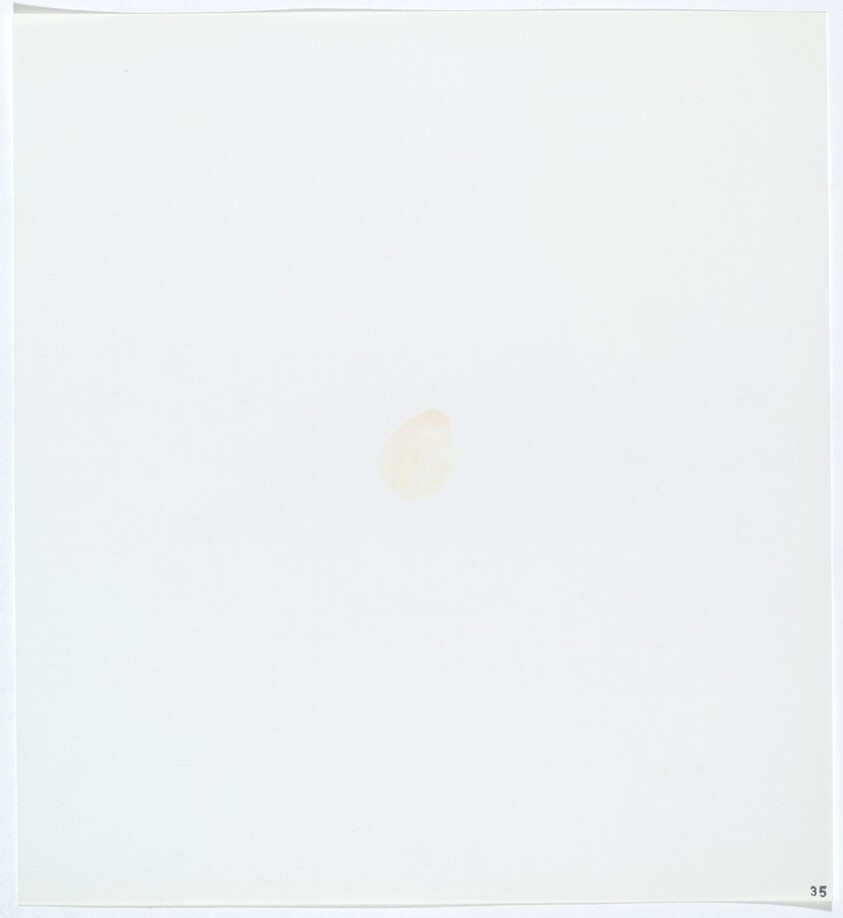 Stains: Lacquer (Pactra clear)