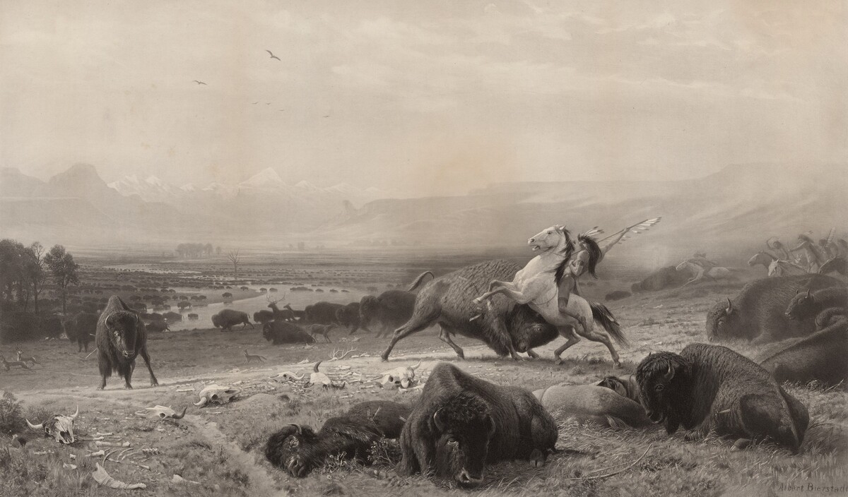 The Last of the Buffalo