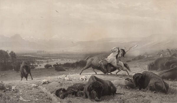 The Last of the Buffalo