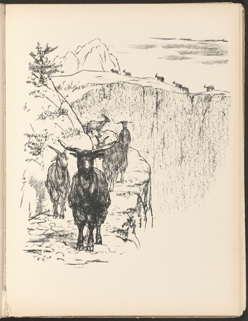 Ziegen (Goats) from Deutsche Graphiker der Gegenwart (German Printmakers of Our Time)