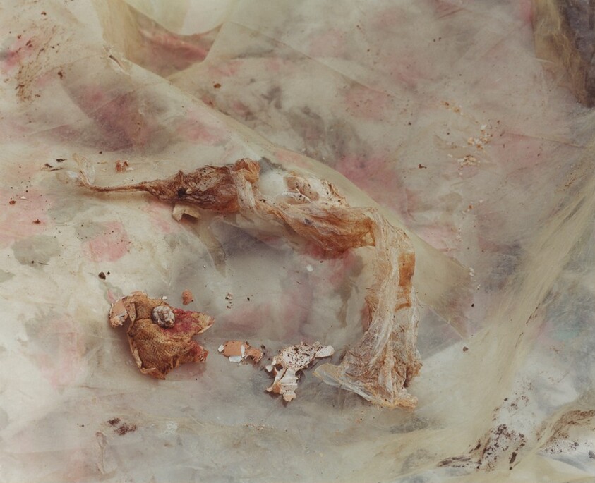 Pictures from a Rubbish Tip