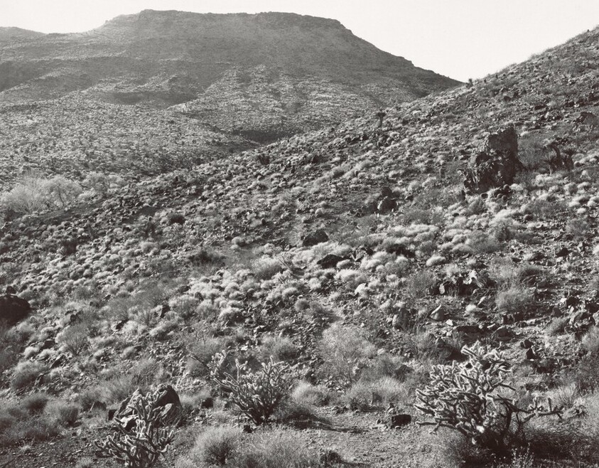 Paiute Range: The Mojave Trade Route, from Paiute Spring to Rock Spring