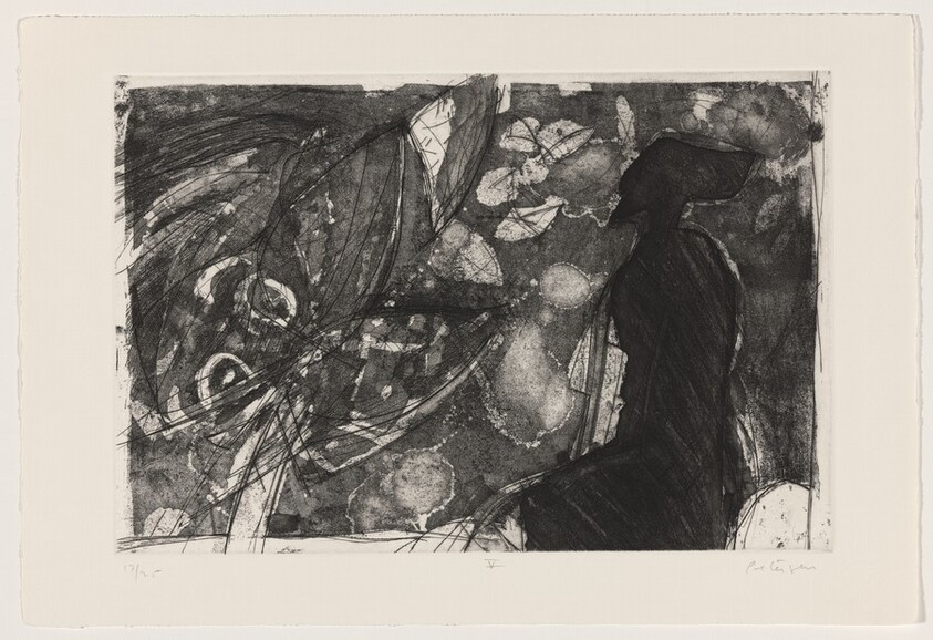 Dark Dancer Watcher V