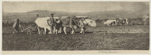 Ploughing on the Campagnetta