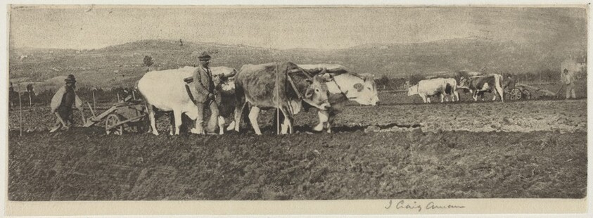Ploughing on the Campagnetta