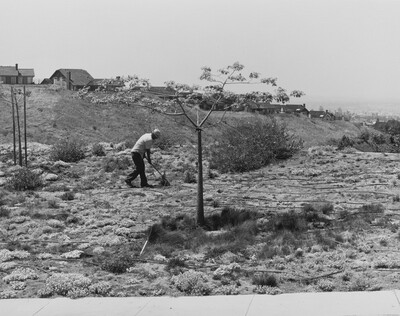 Landscaping, Anaheim Hills, California