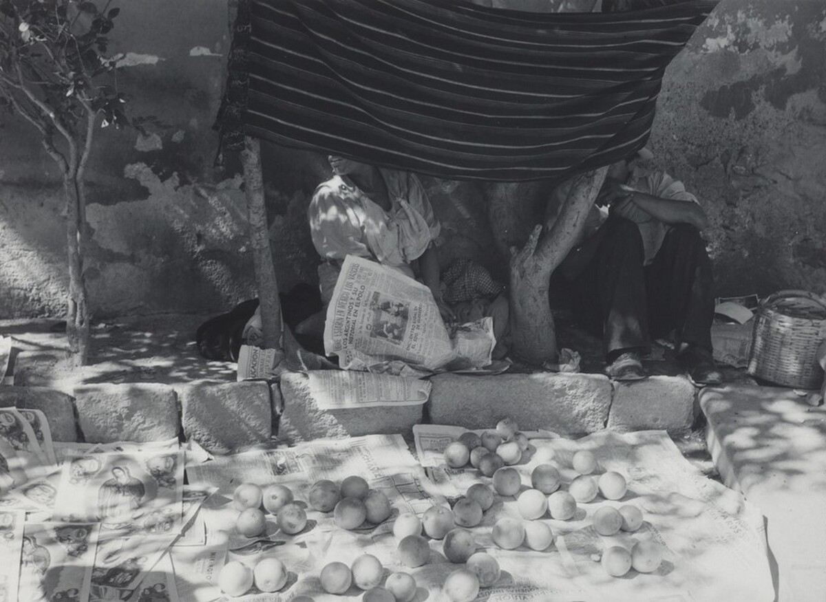 Trampa puesta (Set trap)