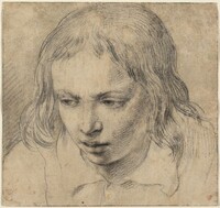 Head of a Young Man [recto], Dutch 17th Century, c. 1650