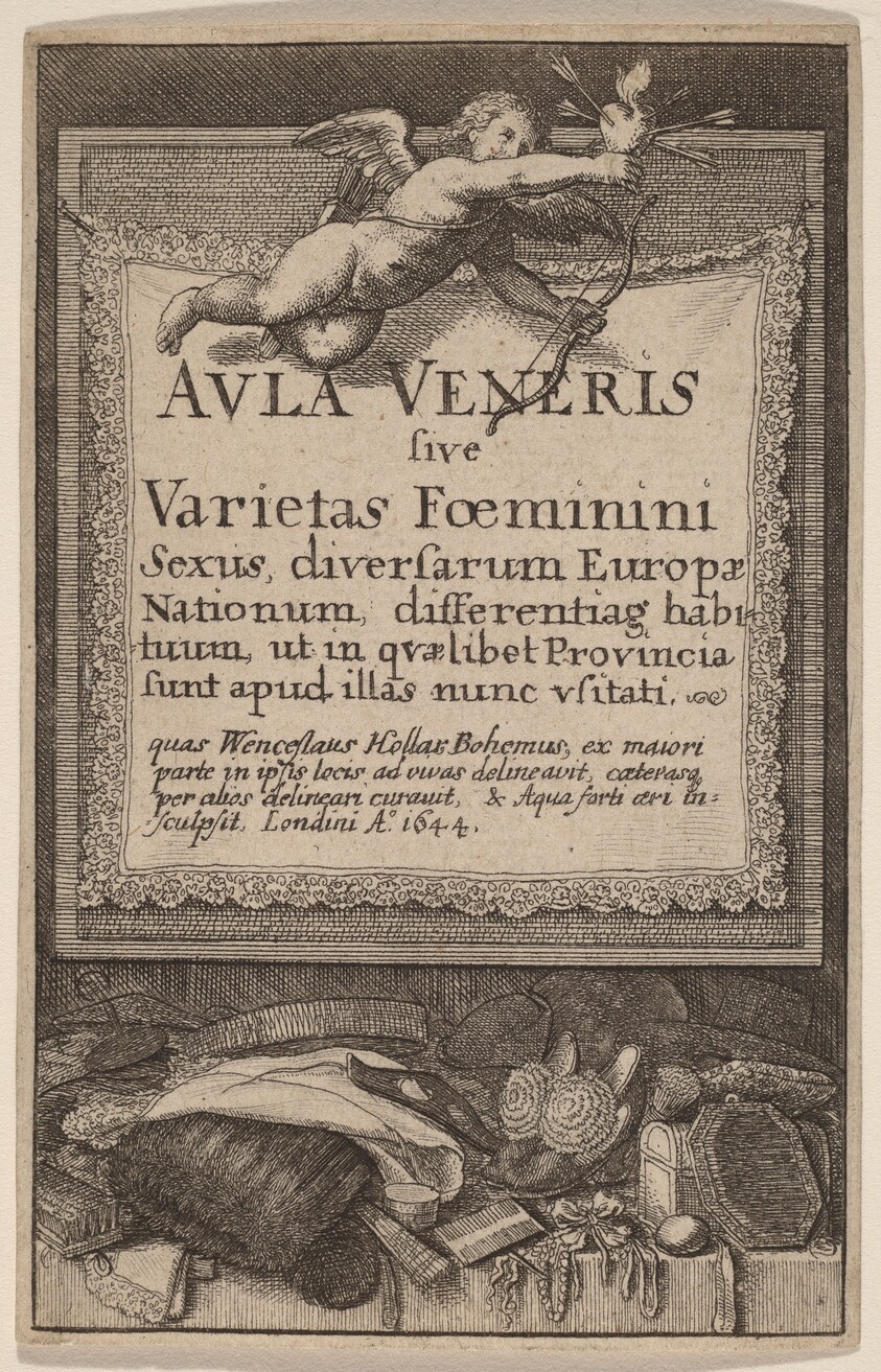 Aula Veneris: Title Page