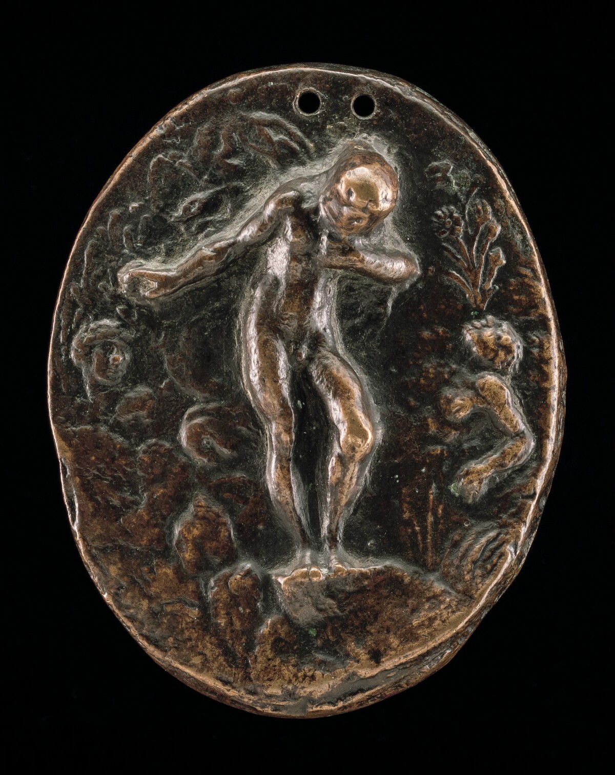Narcissus