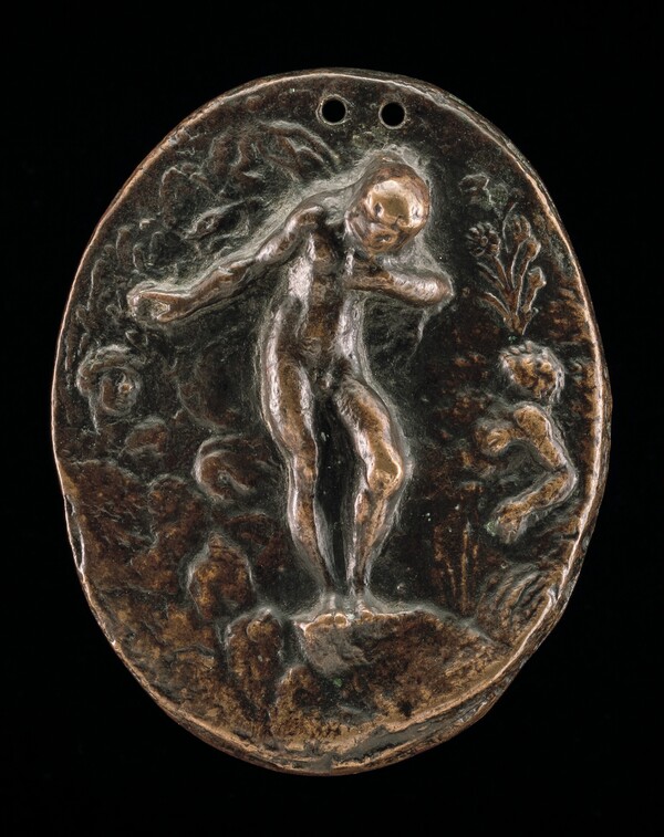 Narcissus