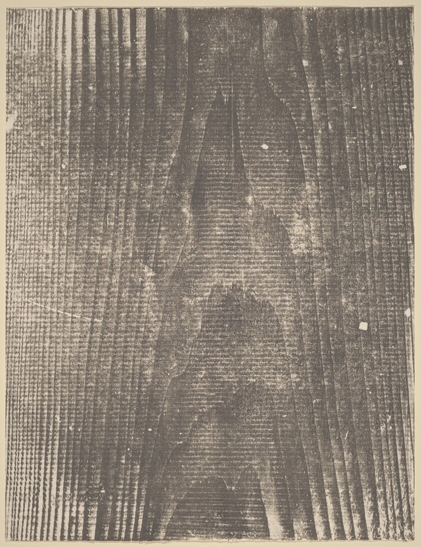 Untitled [plate LXXIII]