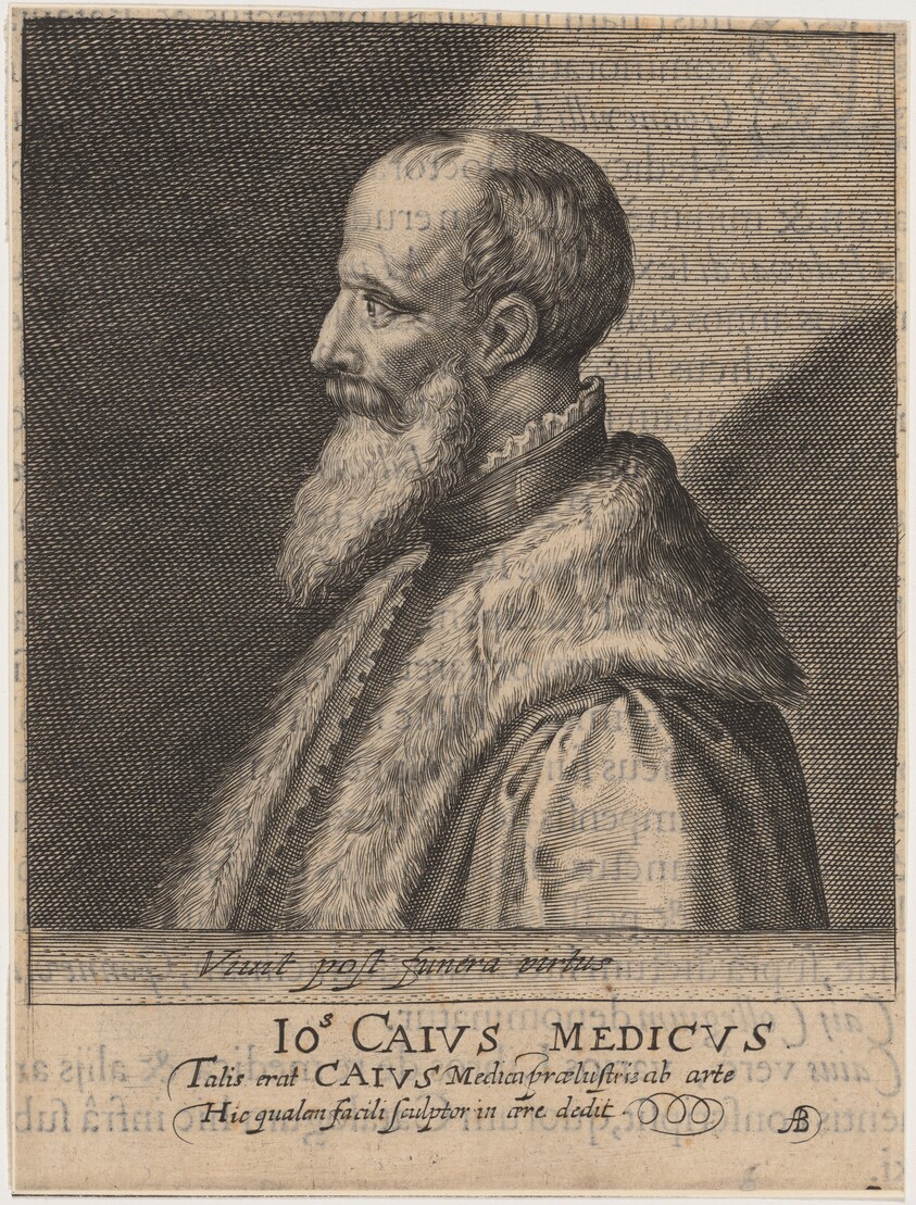 John Caius, Co-Founder of Gonville and Caius College, Cambridge