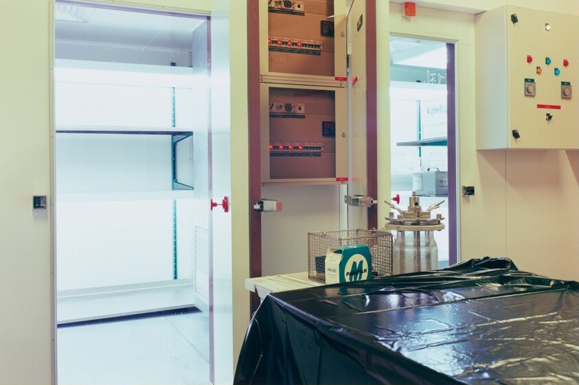 Institut Pasteur, Paris, France