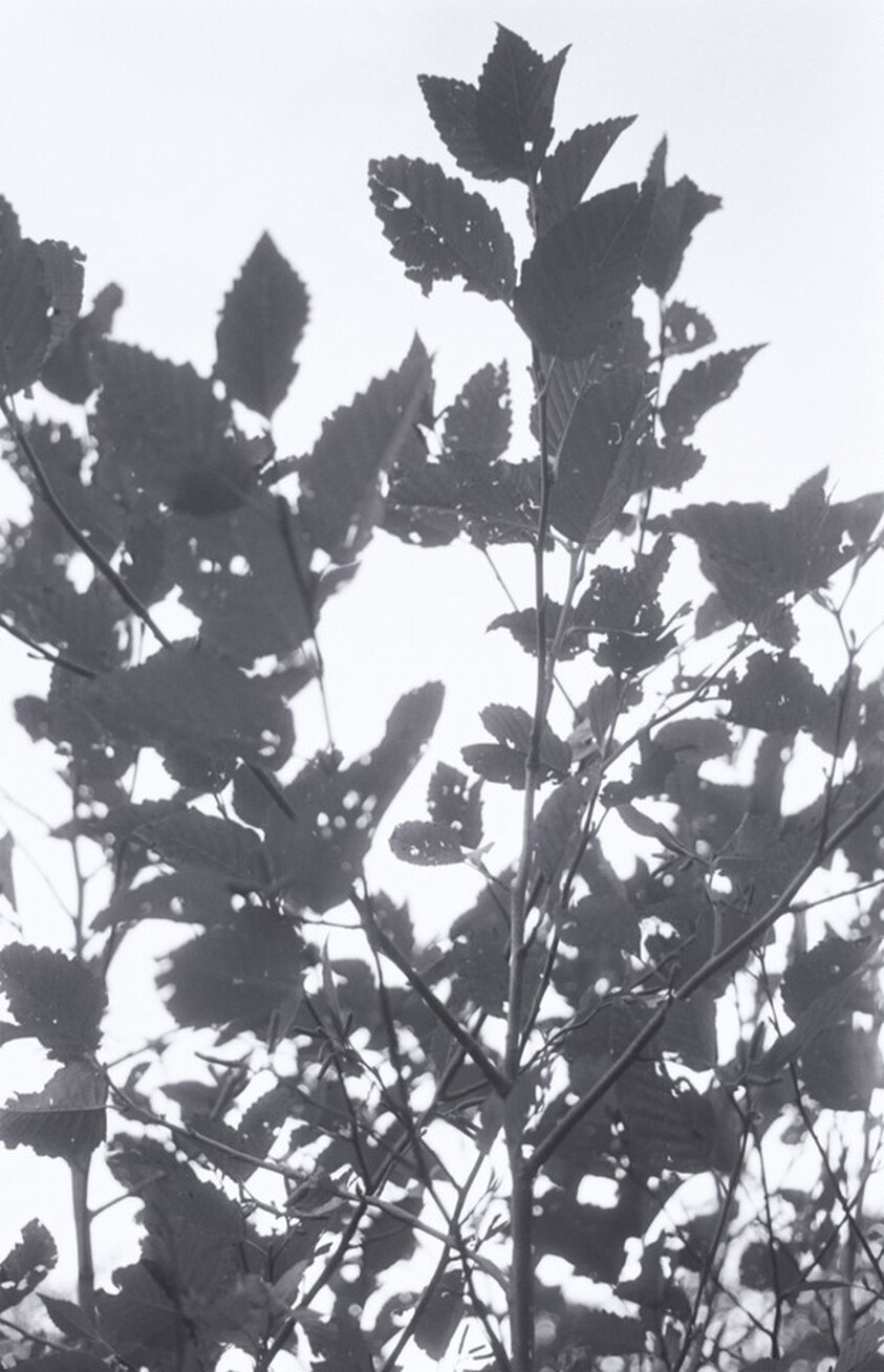 Neahkahnie Mountain, Oregon