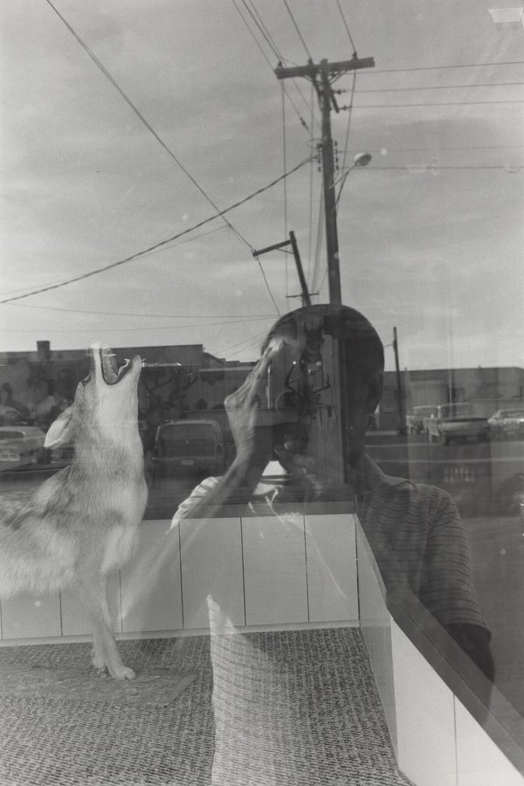 Self-Portrait, Lee Friedlander, 1977