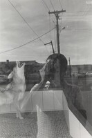 Self-Portrait, Lee Friedlander, 1977